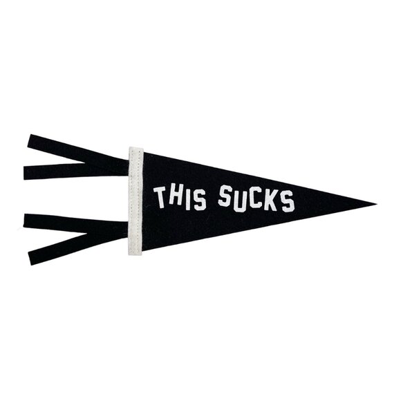 Oxford Pennant Other - New Oxford Pennant This Sucks Mini Pennant